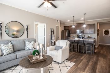 Living room and kitchen 